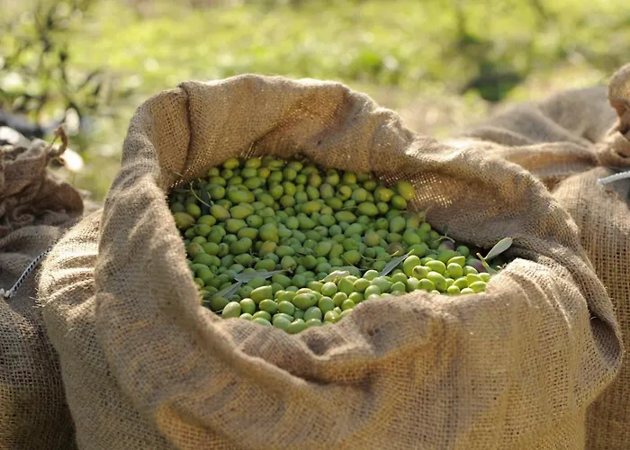 Hotel Angela's House 2*