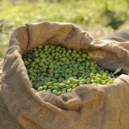 Hotel Angela's House 2*